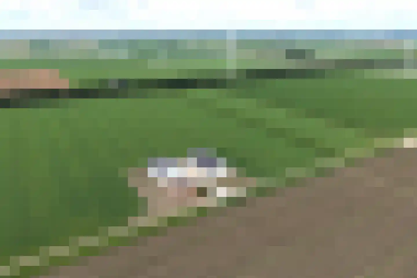 Bloesemlaan 34 Zeewolde thumbnail 38