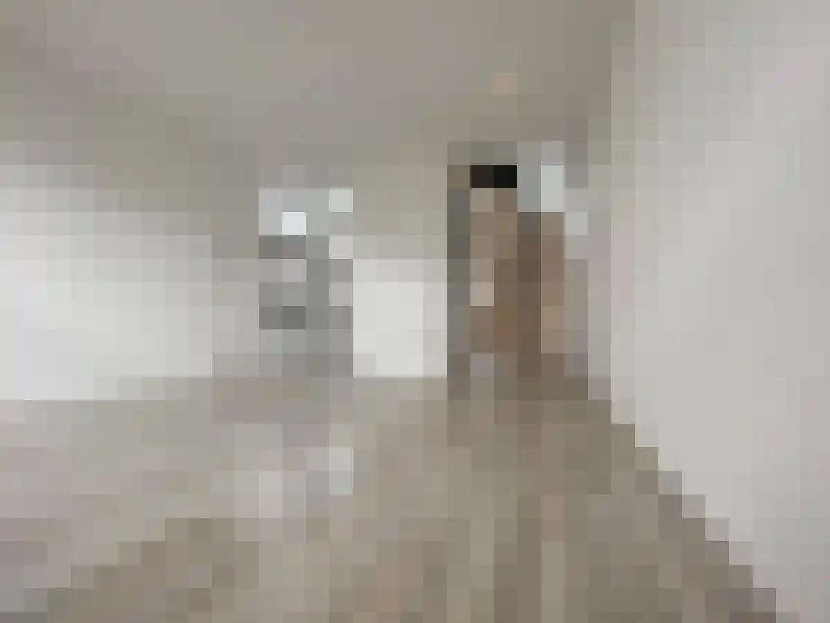 Bloesemstraat 14 Utrecht thumbnail 5