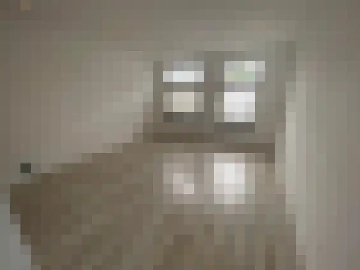 Bloesemstraat 14 Utrecht thumbnail 6