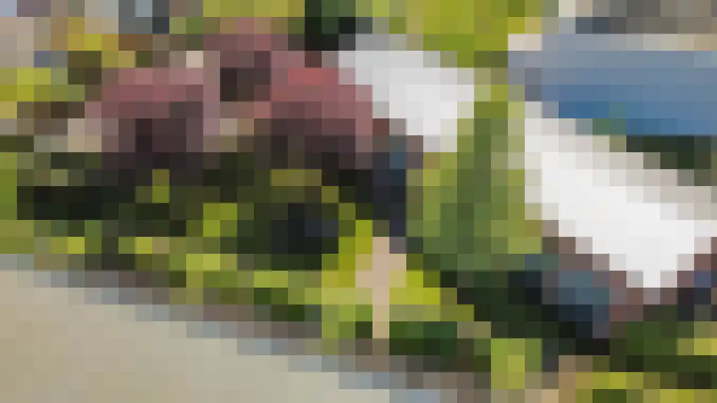 Bloesemstraat 18 Utrecht thumbnail 20