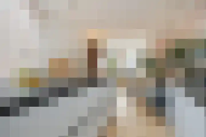 Bloesemstraat 29 Utrecht thumbnail 11