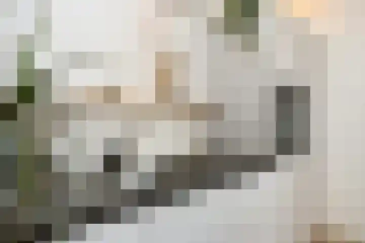 Bloesemstraat 29 Utrecht thumbnail 12