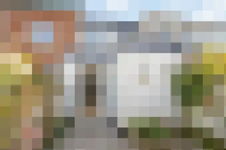 Bloesemstraat 29 Utrecht thumbnail 22