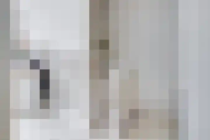 Bloesemstraat 5 Utrecht thumbnail 18