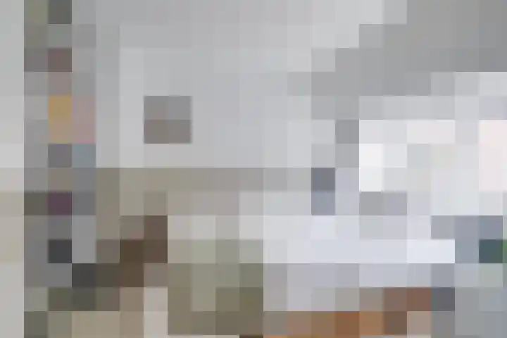 Bloesemstraat 5 Utrecht thumbnail 19