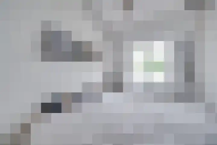 Bloesemstraat 5 Utrecht thumbnail 21