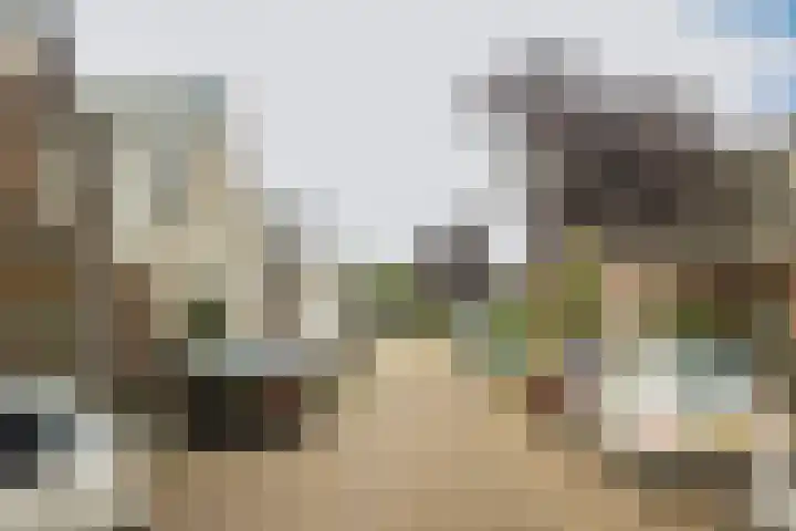 Bloesemstraat 5 Utrecht thumbnail 25