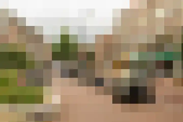 Bloesemstraat 5 Utrecht thumbnail 27