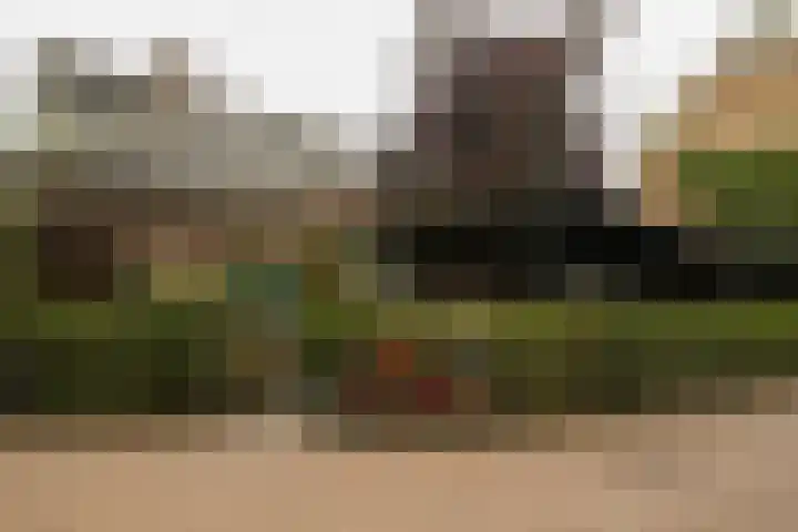 Bloesemstraat 5 Utrecht thumbnail 28