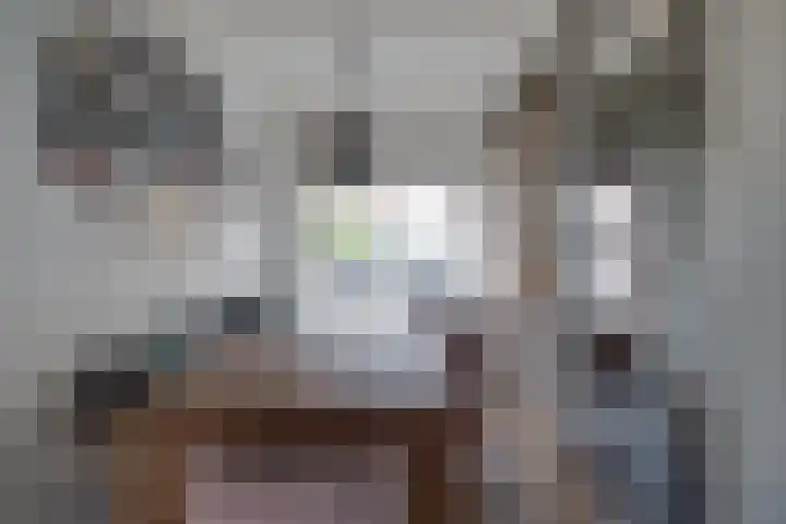 Bloesemstraat 5 Utrecht thumbnail 7