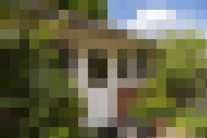Bloesemstraat 51 Utrecht thumbnail 20