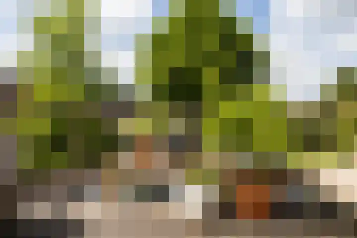 Bloesemstraat 51 Utrecht thumbnail 36
