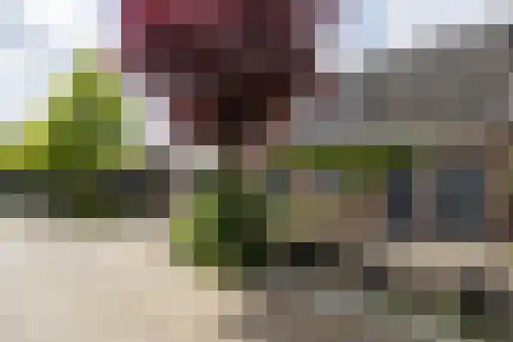 Bloesemstraat 51 Utrecht thumbnail 4