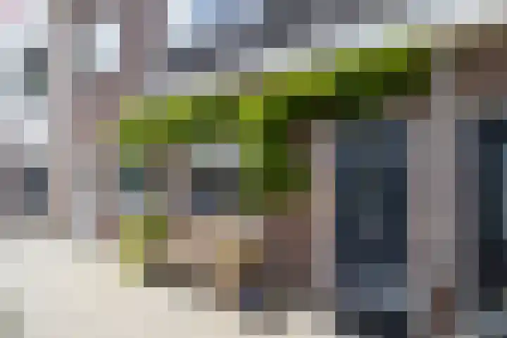 Bloesemstraat 51 Utrecht thumbnail 43