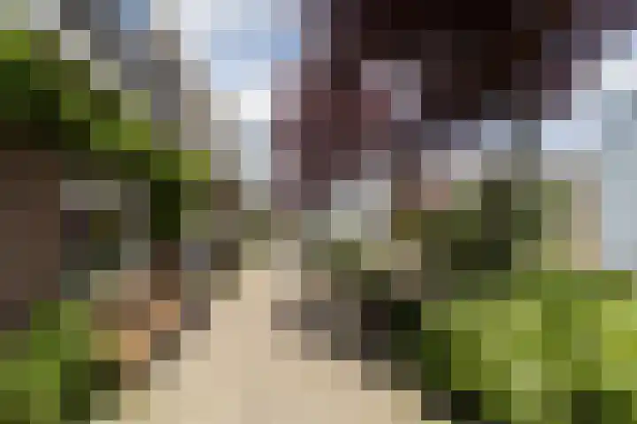 Bloesemstraat 51 Utrecht thumbnail 44