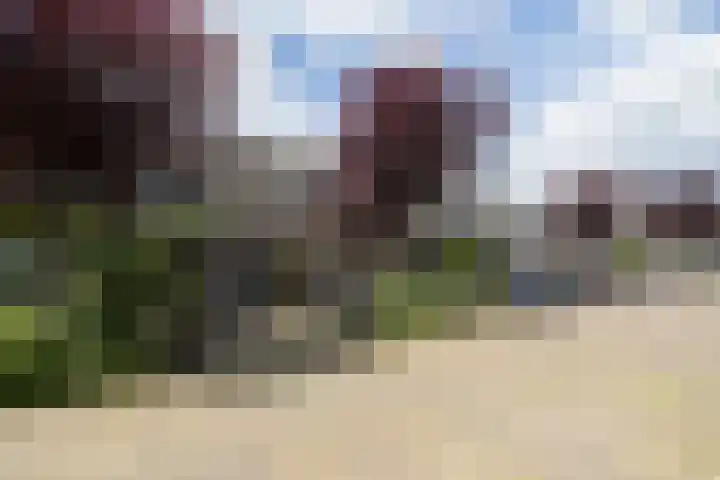 Bloesemstraat 51 Utrecht thumbnail 46