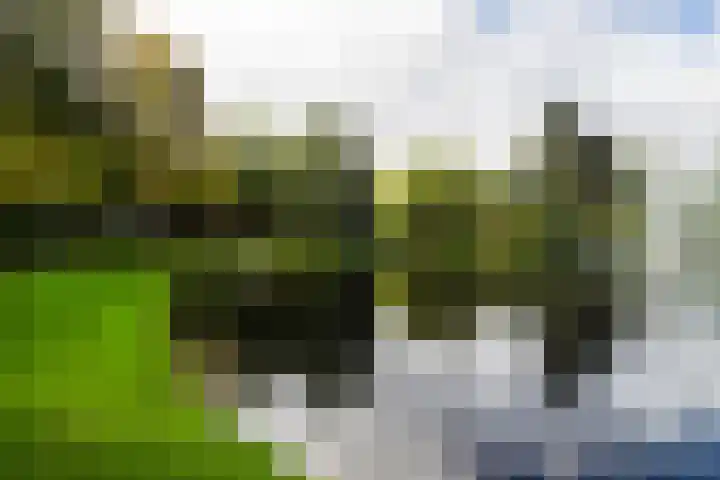 Bloesemstraat 51 Utrecht thumbnail 47