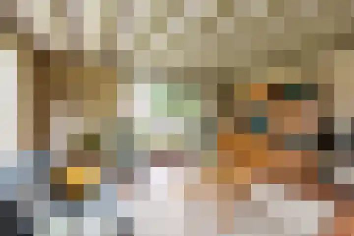 Bloeymanstraat 2 Helvoirt thumbnail 13