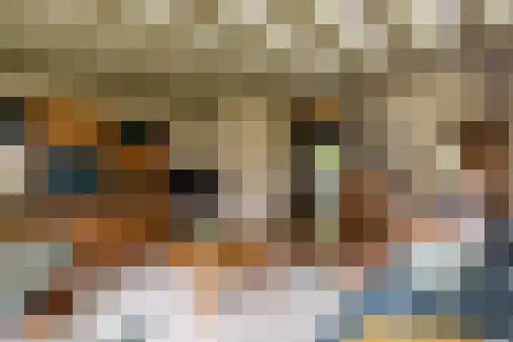 Bloeymanstraat 2 Helvoirt thumbnail 14