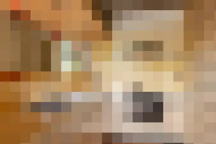 Bloeymanstraat 2 Helvoirt thumbnail 17