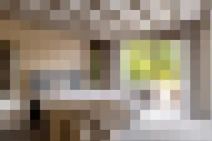 Bloeymanstraat 2 Helvoirt thumbnail 20