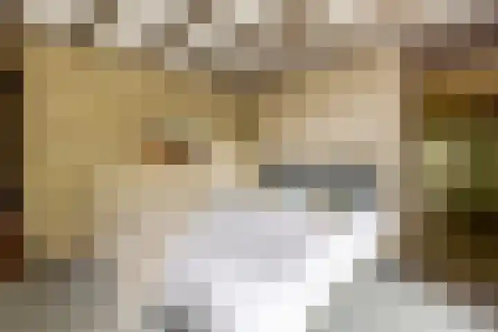 Bloeymanstraat 2 Helvoirt thumbnail 21