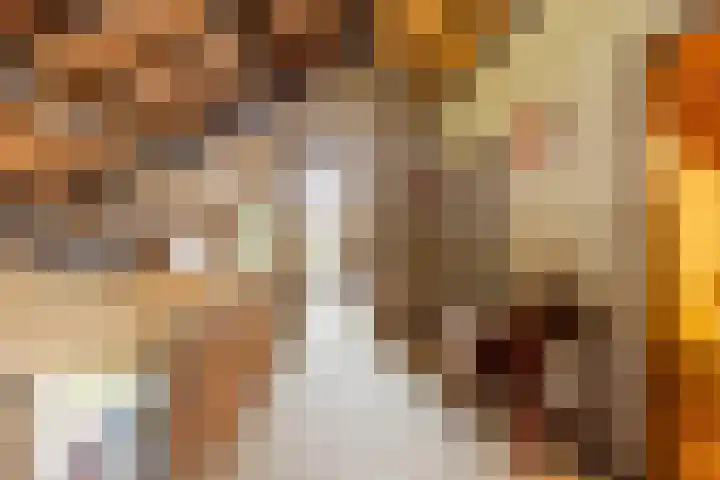 Bloeymanstraat 2 Helvoirt thumbnail 25