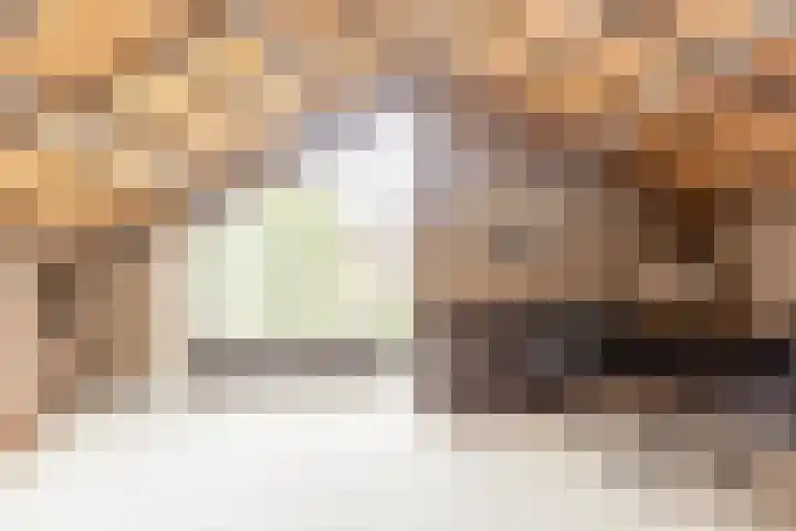 Bloeymanstraat 2 Helvoirt thumbnail 26