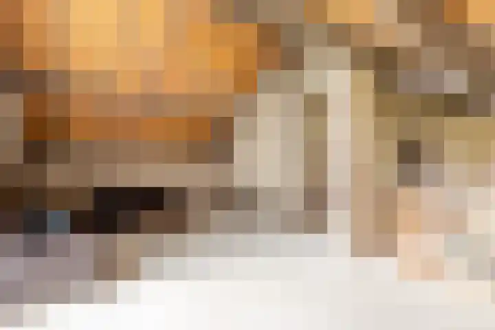 Bloeymanstraat 2 Helvoirt thumbnail 27