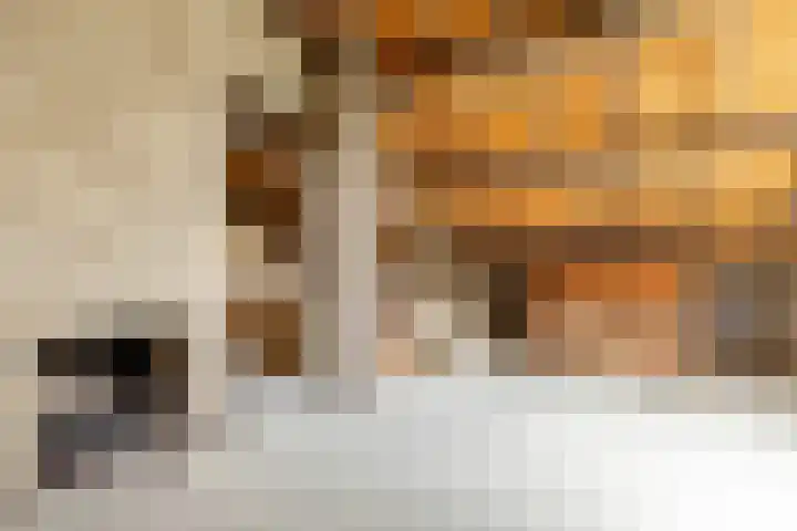 Bloeymanstraat 2 Helvoirt thumbnail 28