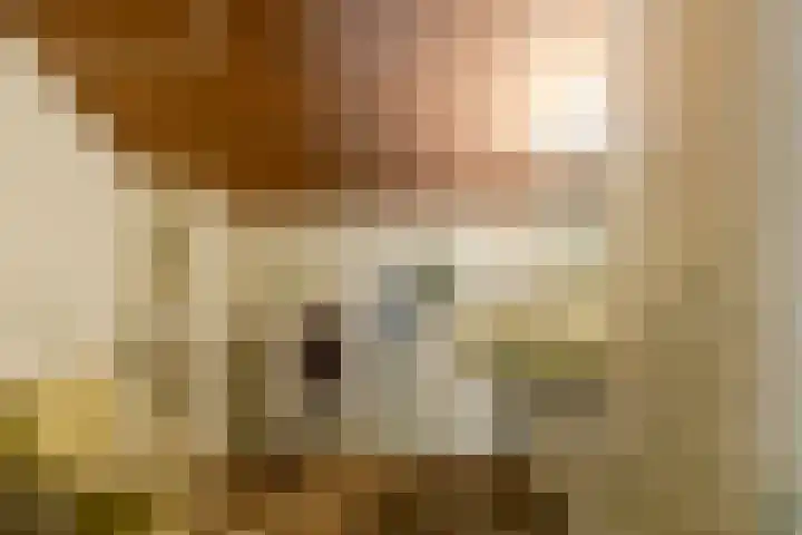 Bloeymanstraat 2 Helvoirt thumbnail 29