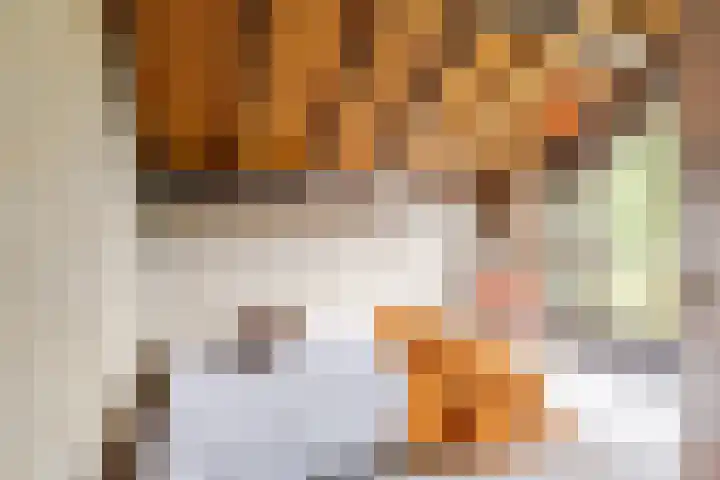 Bloeymanstraat 2 Helvoirt thumbnail 33