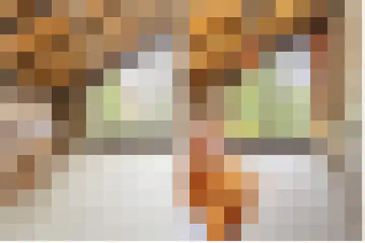 Bloeymanstraat 2 Helvoirt thumbnail 34