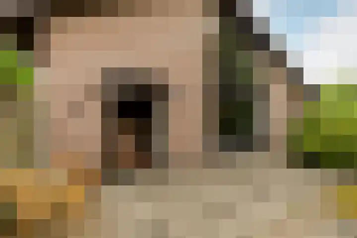 Bloeymanstraat 2 Helvoirt thumbnail 37
