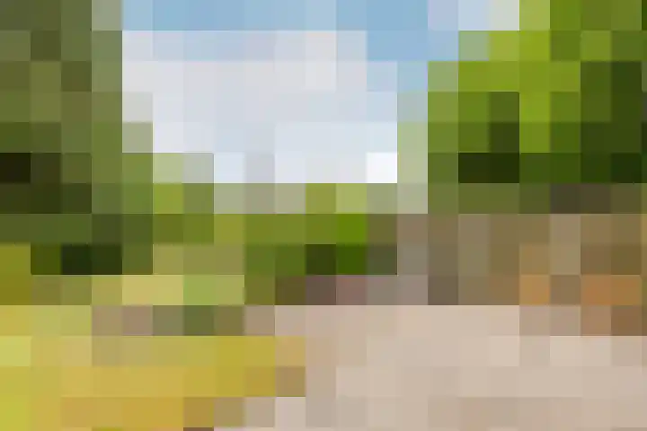 Bloeymanstraat 2 Helvoirt thumbnail 38
