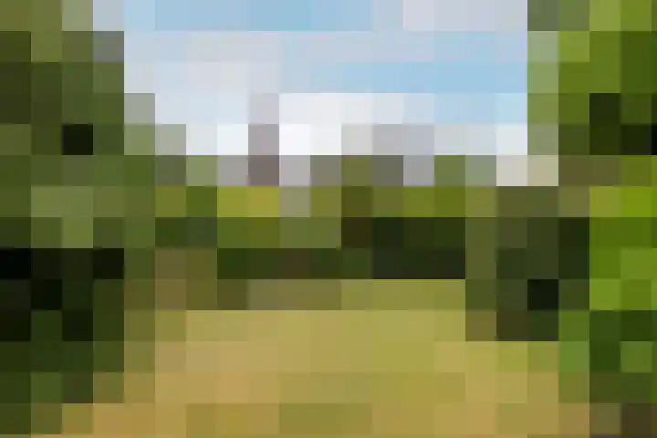 Bloeymanstraat 2 Helvoirt thumbnail 39