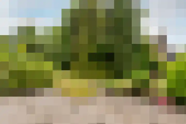 Bloeymanstraat 2 Helvoirt thumbnail 40