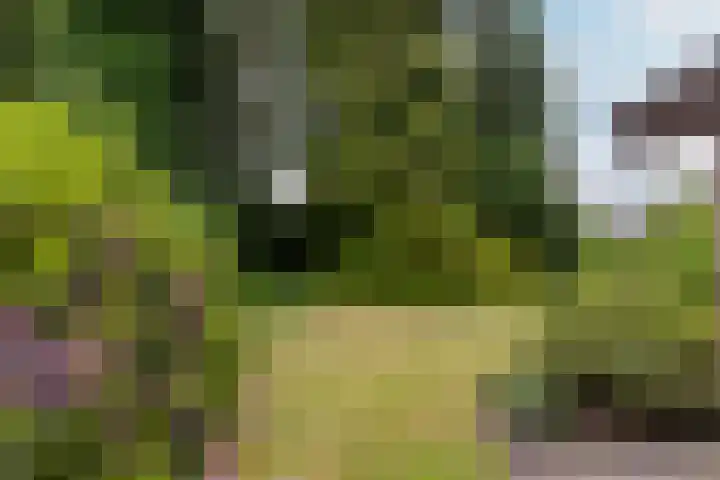 Bloeymanstraat 2 Helvoirt thumbnail 41