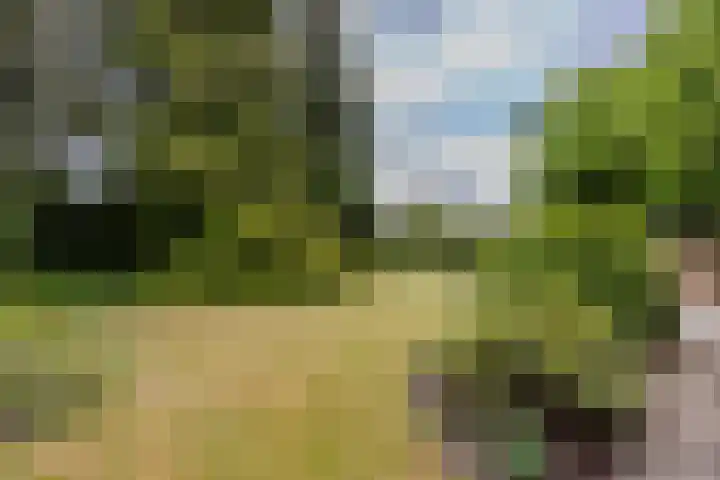 Bloeymanstraat 2 Helvoirt thumbnail 42