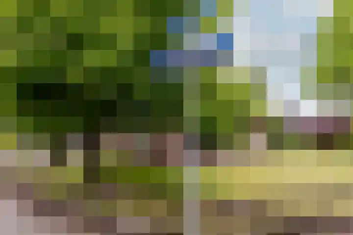 Bloeymanstraat 2 Helvoirt thumbnail 43