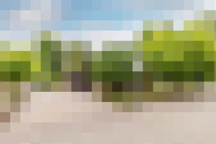 Bloeymanstraat 2 Helvoirt thumbnail 44