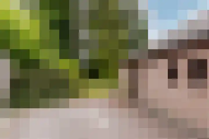 Bloeymanstraat 2 Helvoirt thumbnail 45