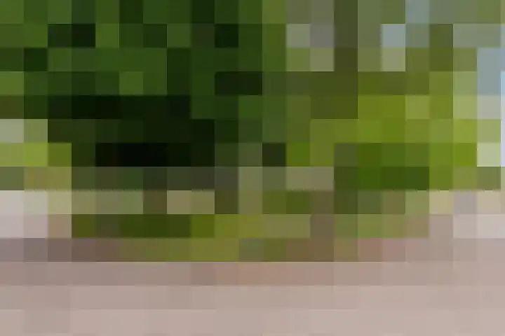 Bloeymanstraat 2 Helvoirt thumbnail 49