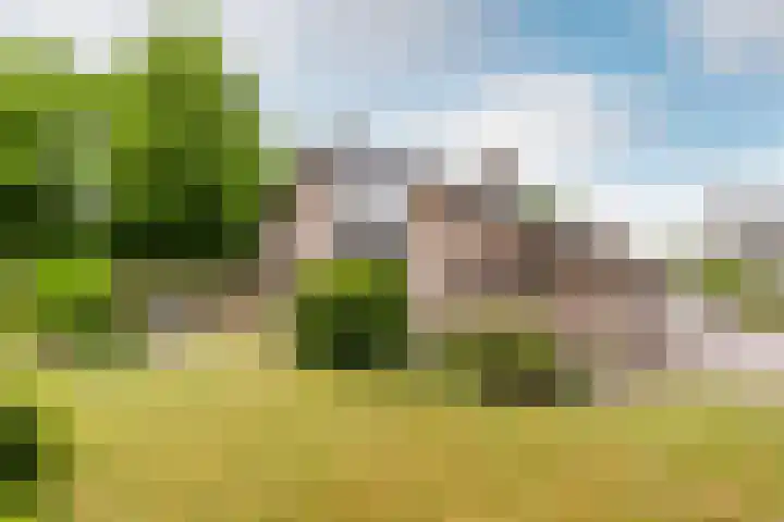 Bloeymanstraat 2 Helvoirt thumbnail 5