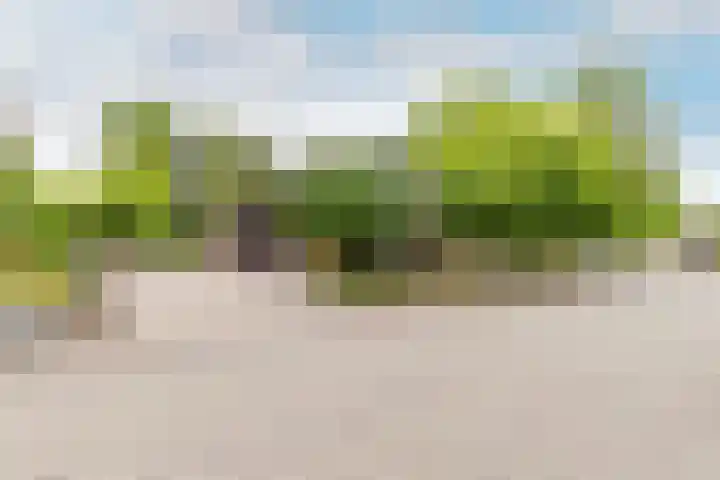 Bloeymanstraat 2 Helvoirt thumbnail 54