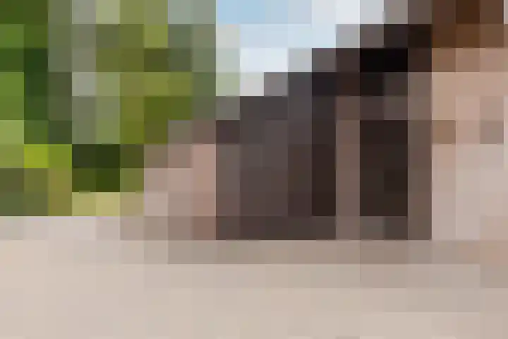 Bloeymanstraat 2 Helvoirt thumbnail 7