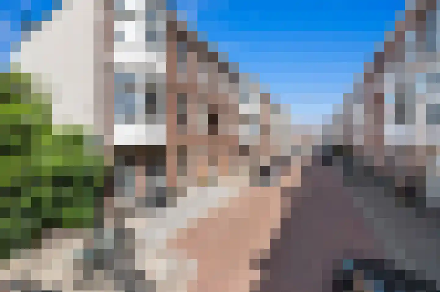 Blois van Treslongstraat 4 Den Haag thumbnail 7