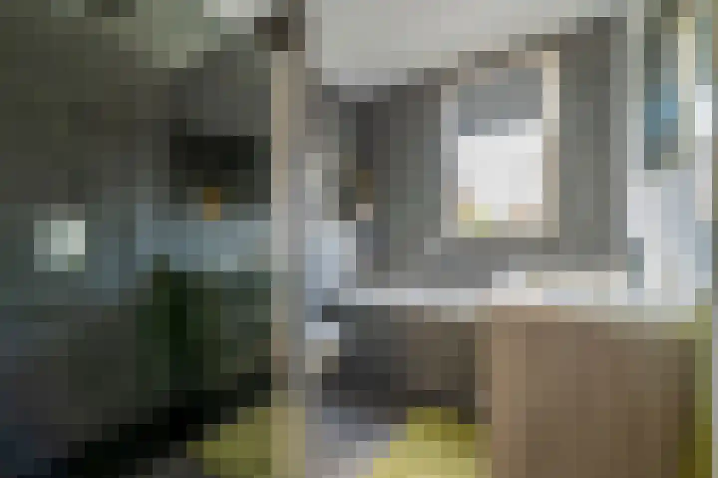 Blokakker 12 Udenhout thumbnail 15