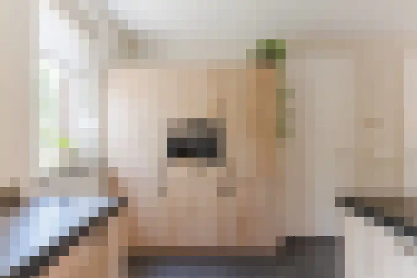Blokakker 15 Udenhout thumbnail 10