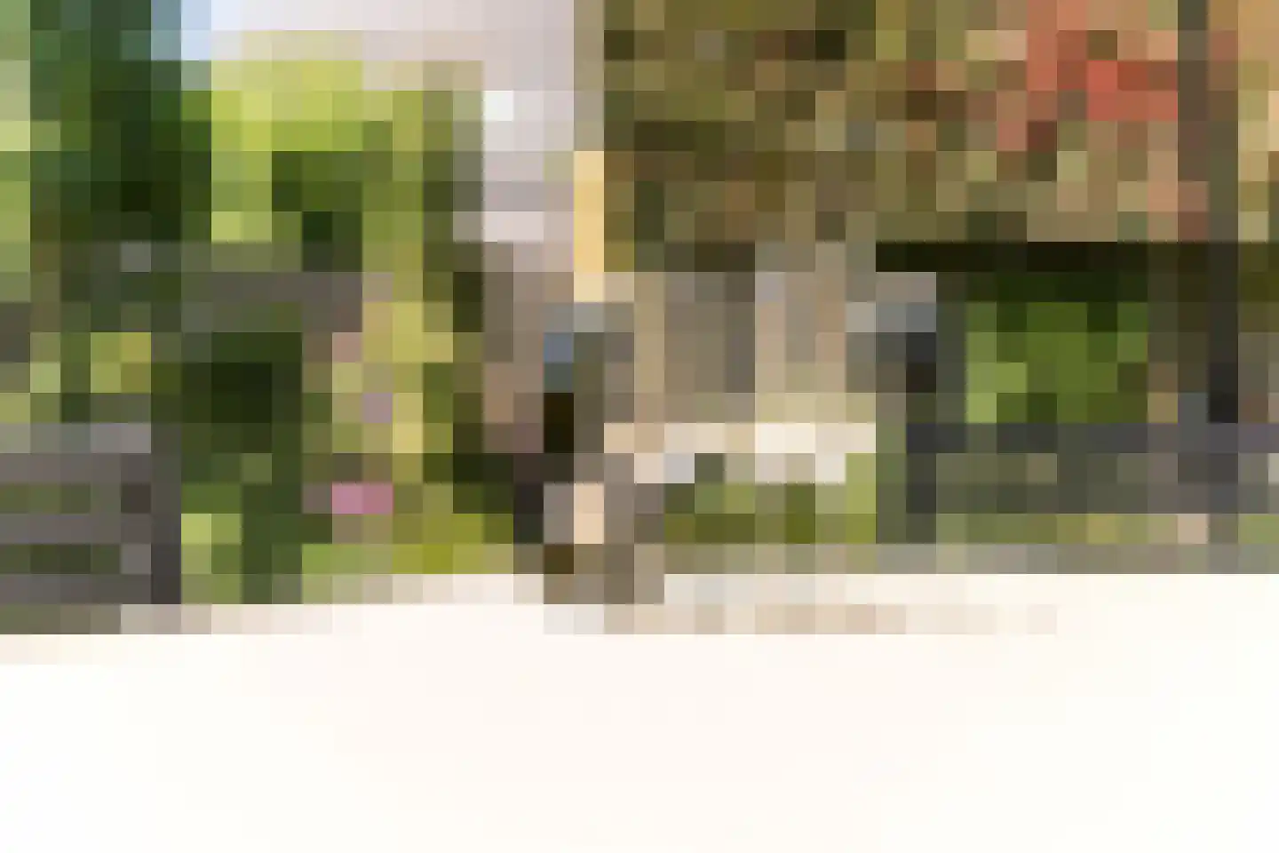 Blokakker 15 Udenhout thumbnail 16